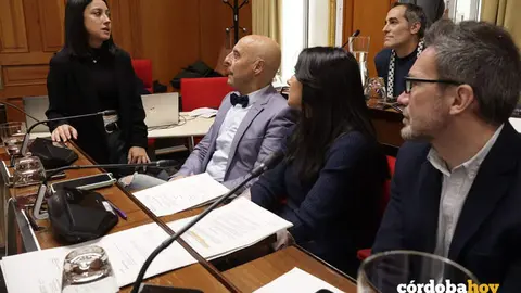 Cintia Bustos conversa con concejales socialistas y de Hacemos C&oacute;rdoba antes de iniciarse el Pleno de hoy FOTO RAFA MELLADO SENIOR