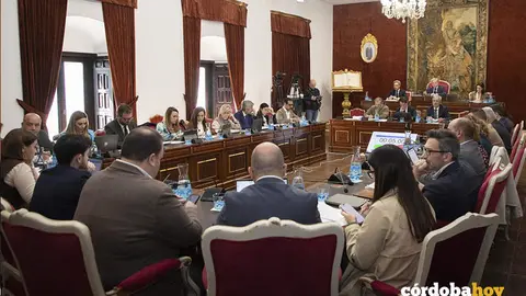 Pleno de la Diputaci&oacute;n en su sesi&oacute;n ordinaria de marzo FOTO DIPUTACI&Oacute;N DE C&Oacute;RDOBA