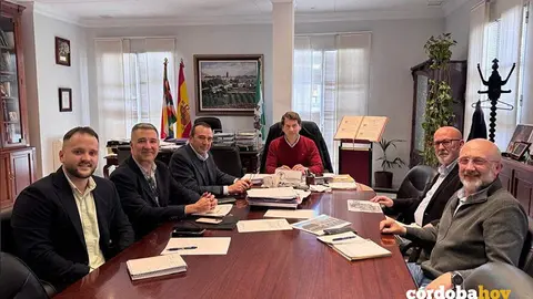 Reuni&oacute;n de responsables de e-distribuci&oacute;n, filial de Redes de Endesa, con el alcalde de Cabra, Fernando Priego FOTO ENDESA