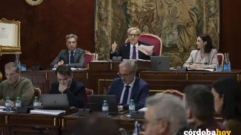 Salvador Fuentes (centro) en el Pleno extraordinario de hoy sobre los Presupuestos provinciales de 2026 FOTO DIPUTACI&Oacute;N DE C&Oacute;RDOBA