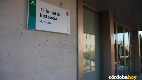 tribunal de instancia de montoro