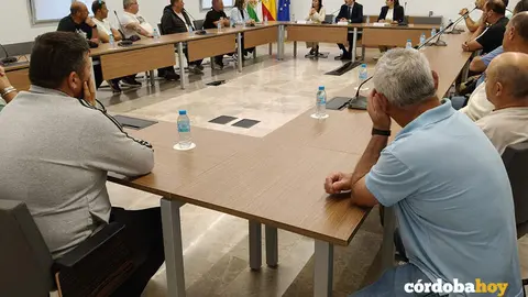 transformaci&oacute;n