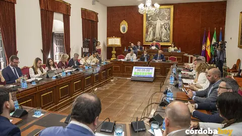 pleno