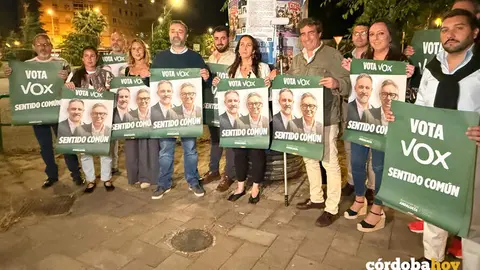 Pegada de carteles de Vox en C&oacute;rdoba FOTO VOX