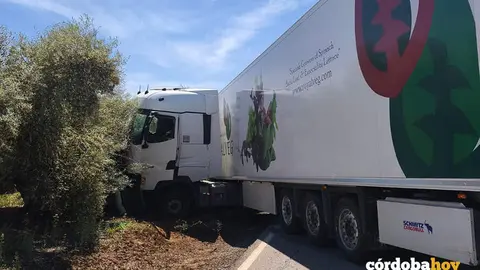 El cami&oacute;n accidentado esta tarde en la A-7300 FOTO CONSORCIO PROVINCIAL DE EXTINCI&Oacute;N DE INCENDIOS