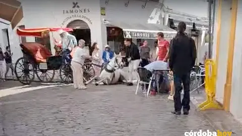 Captura de pantalla de un video del suceso con el caballo en la Juder&iacute;a IMAGEN ANDALUC&Iacute;A ENTRE TOD@S