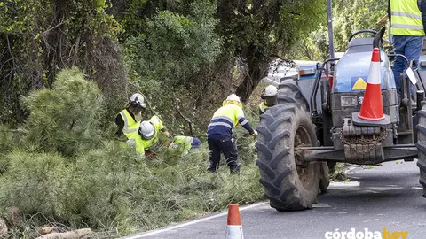 Labores de desbroce en carreteras provinciales FOTO DIPUTACI&Oacute;N DE C&Oacute;RDOBA
