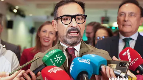 El vicepresidente tercero de la Diputaci&oacute;n de C&oacute;rdoba, F&eacute;lix Romero, en una imagen de archivo FOTO FRANCISCO J. OLMO / EUROPA PRESS