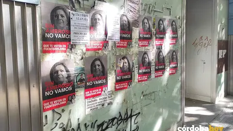 Carteles an&oacute;nimos en los que aparece la cara de Isabel Ambrosio colocados en el marco de la campa&ntilde;a electoral del 17M FOTO EUROPA PRESS
