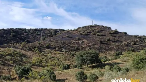 Zona afectada por las llamas en el incendio de Espiel FOTO INFOCA