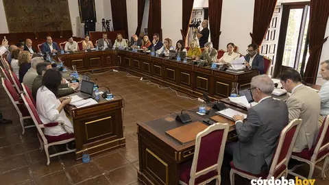 Pleno ordinario de la Diputaci&oacute;n correspondiente a mayo de 2026 FOTO DIPUTACI&Oacute;N DE C&Oacute;RDOBA