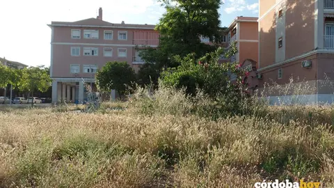 Ejemplo de abandono municipal del barrio del Guadalquivir FOTO ASOCIACI&Oacute;N VECINAL AMARGACENA