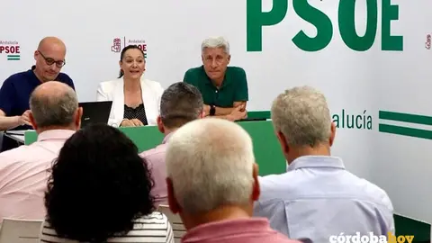 Cresp&iacute;n (centro, al fondo) interviene en la reuni&oacute;n con alcaldes y secretarios generales locales del PSOE en la provincia FOTO PSOE