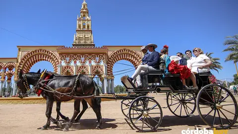 Mi&eacute;rcoles de Feria 2026