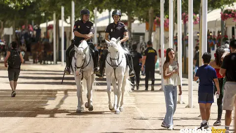 Mi&eacute;rcoles de Feria 2026