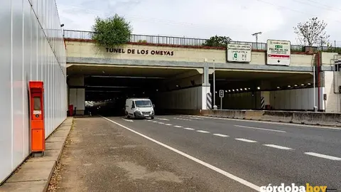 Tunel de Los Omeyas FOTO JUNTA DE ANDALUC&Iacute;A
