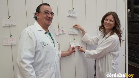 DONACI&Oacute;N &Oacute;RGANOS