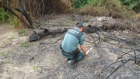 Un agente de la Guardia Civil estudia la zona del fuego en Castro del R&iacute;o FOTO GUARDIA CIVIL