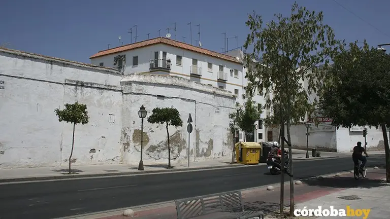 almezos secos ribera