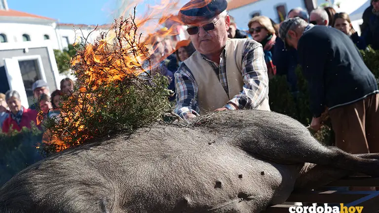 Fiesta de la Matanza de Alcaracejos