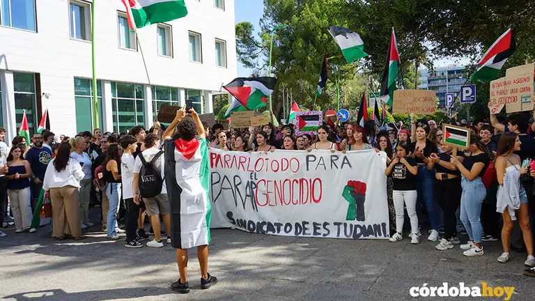 Mani Gaza 34