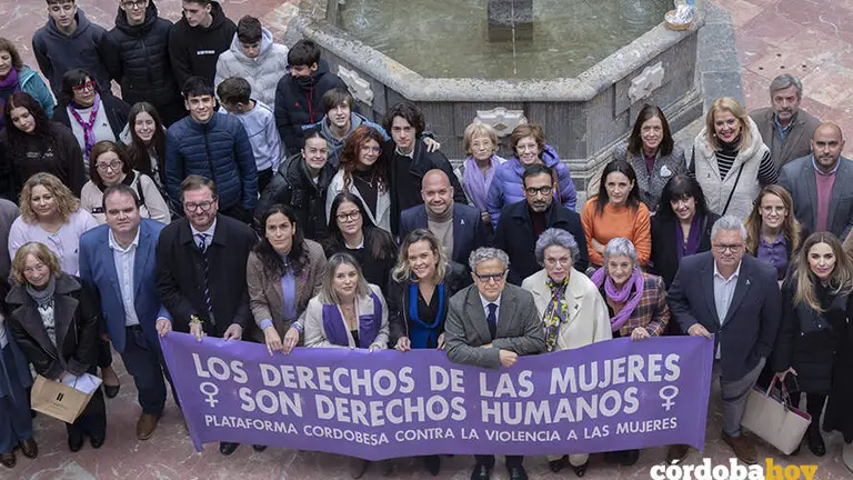 Pleno extraordinario en la Diputaci&oacute;n con motivo del 25N FOTO DIPUTACI&Oacute;N DE C&Oacute;RDOBA