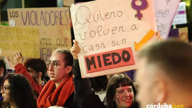 Manifestaci&oacute;n en C&oacute;rdoba del 25N FOTO &Aacute;LVARO SANTOS L&Oacute;PEZ
