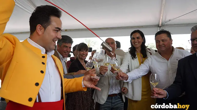 CATA 7