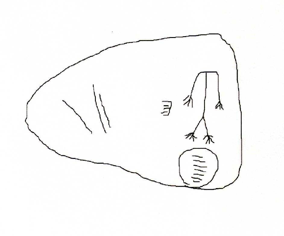 Esquema de la estela de Pedro Abad