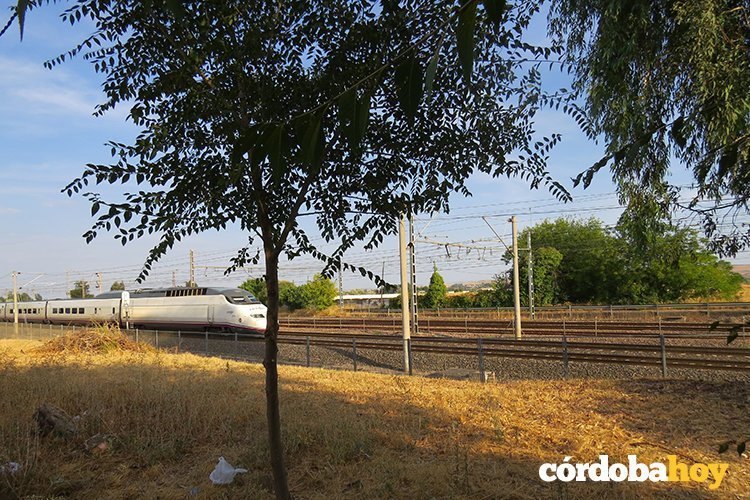 Tren villarubia