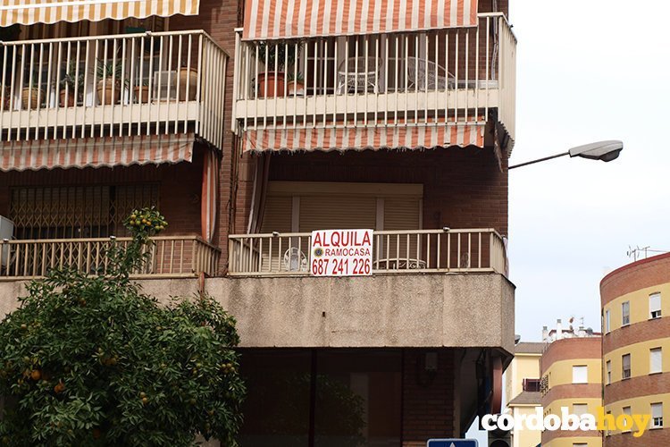 Anuncio Alquiler