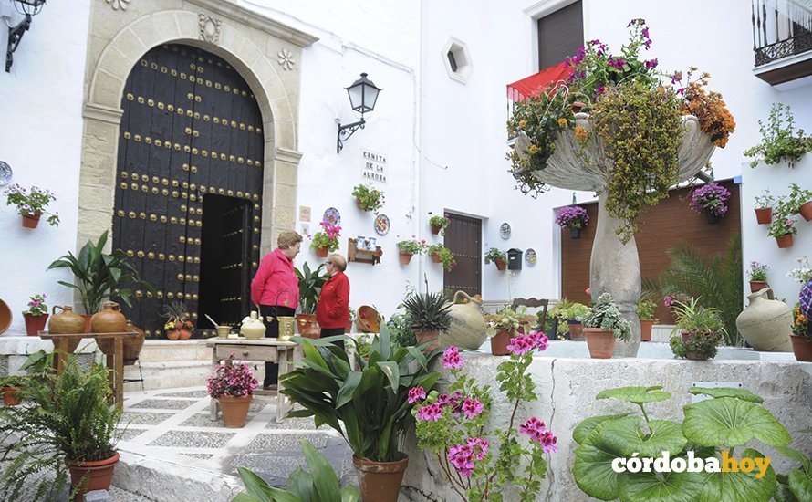 Concurso Patios Subbética