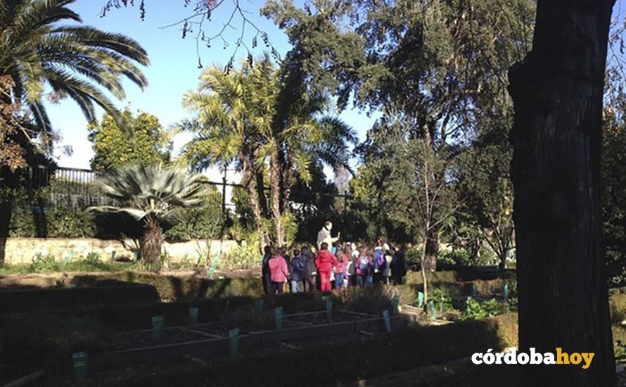 Jardín Botánico
