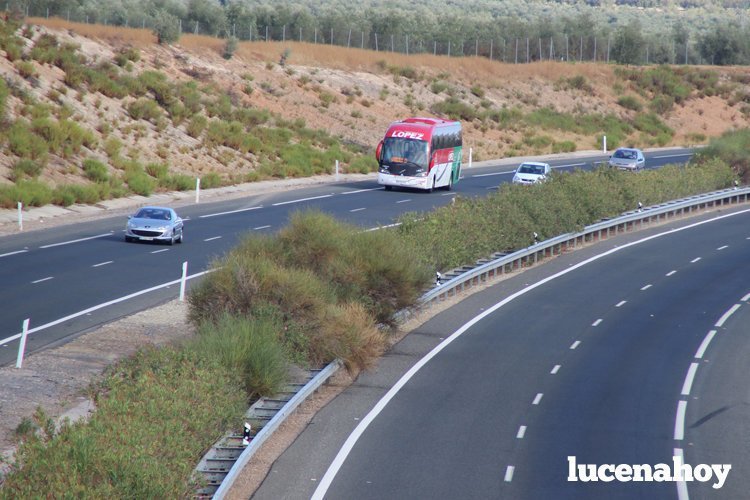 Autovia del olivar