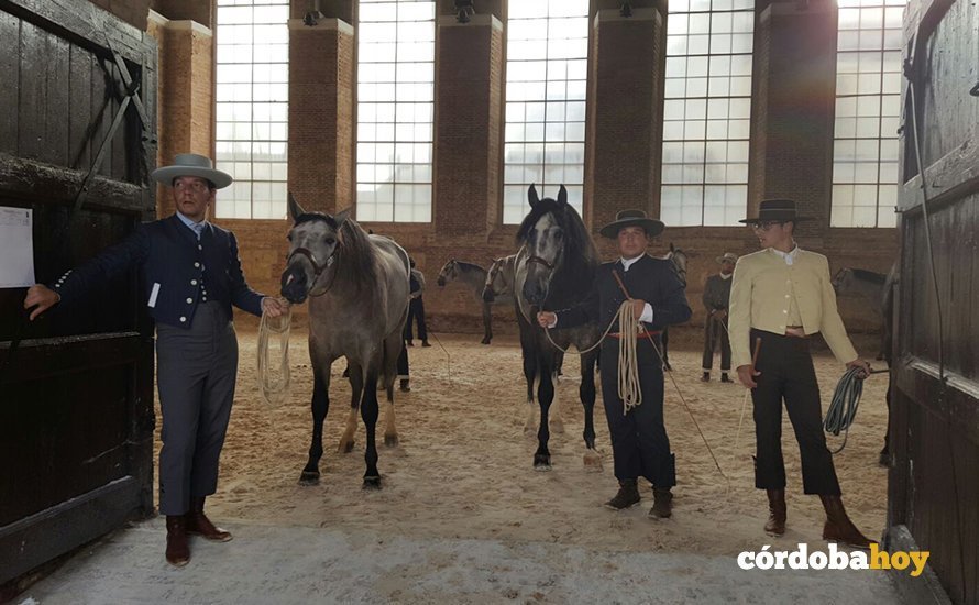 cabalcor9