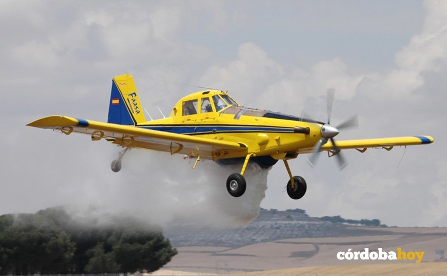 avioneta faasa