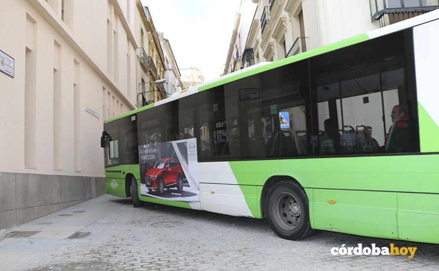 Capitalares 8