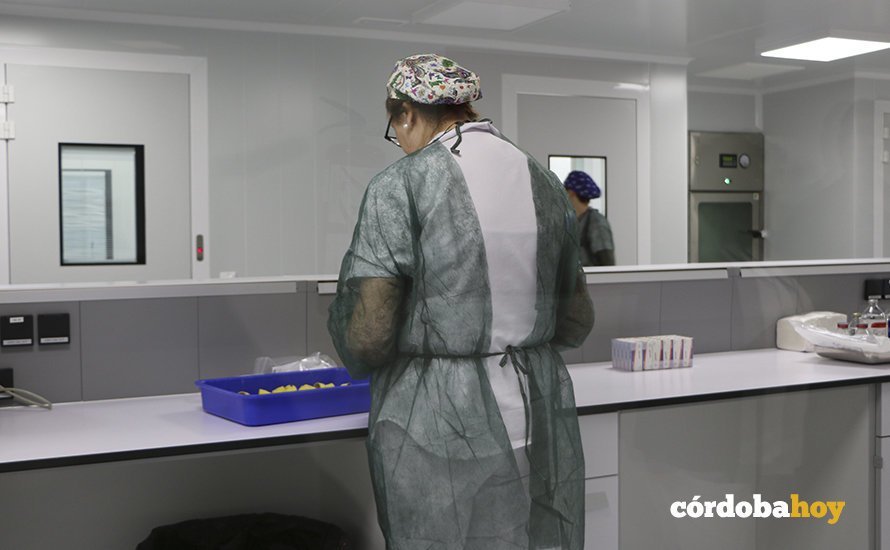 farmacia 2
