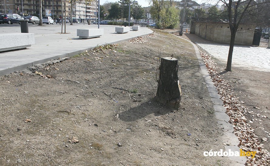 paseo cordoba 1