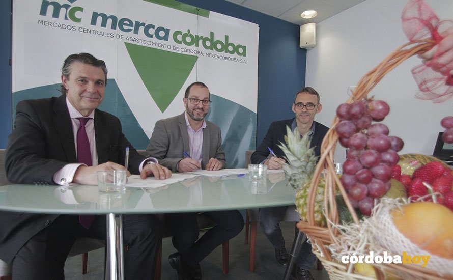 mercacordoba logo 