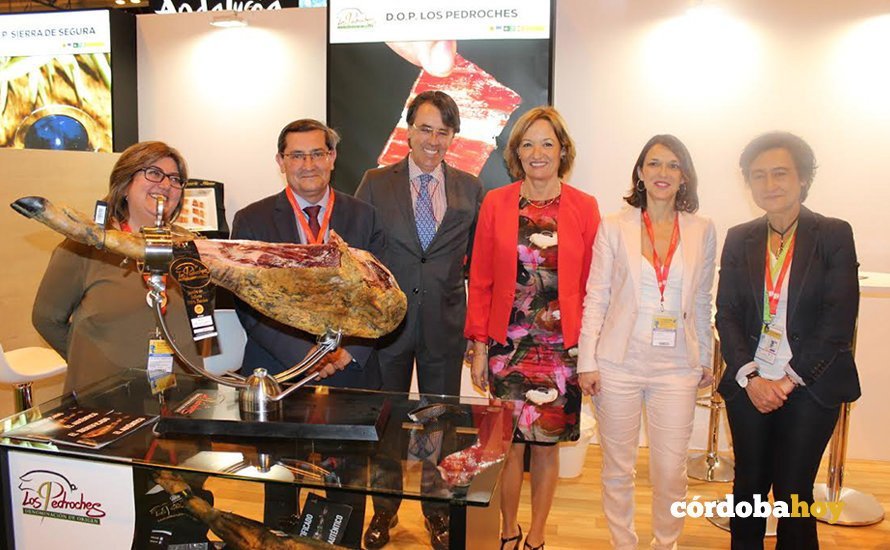 consejera los pedrohes