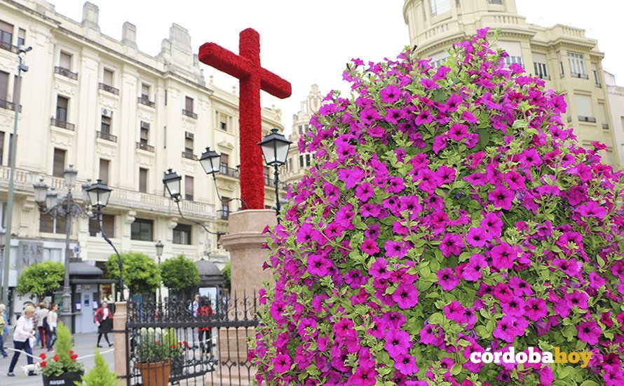 Cruces 5