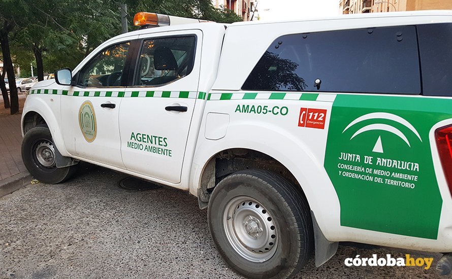 vehículo medio ambiente