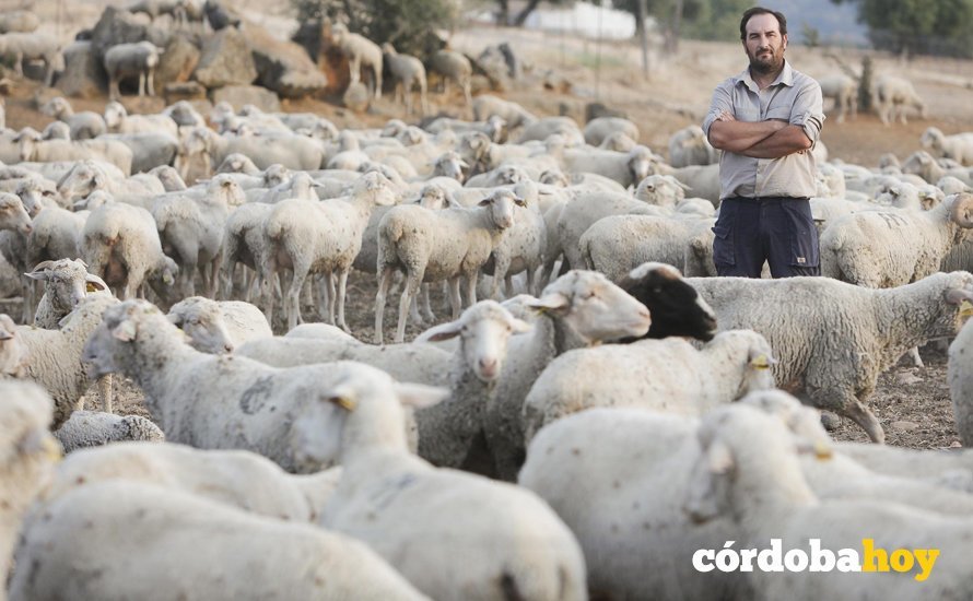 CORDOBA. 12/10/2017. ENTREVISTA AL PASTOR FELIPE MOLINA. FOTO: ROLDAN SERRANO. CORDOBA HOY.