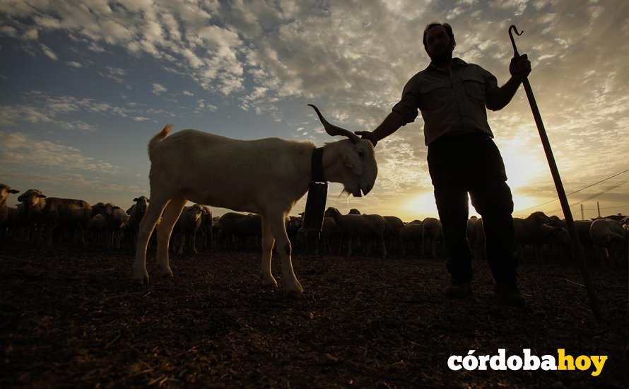 CORDOBA. 12/10/2017. ENTREVISTA AL PASTOR FELIPE MOLINA. FOTO: ROLDAN SERRANO. CORDOBA HOY.