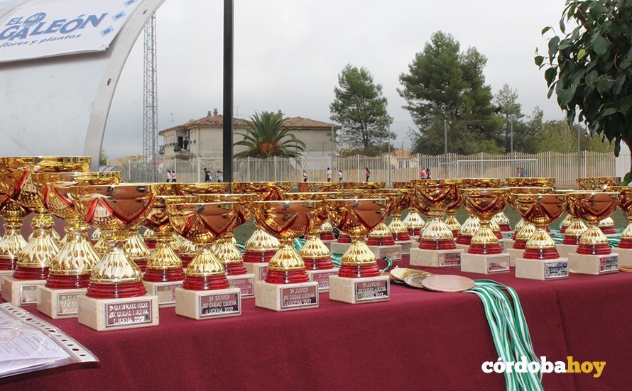 carrera popular de Lucena trofeos