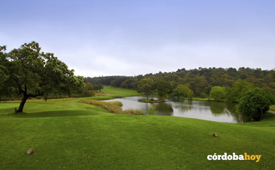mentenimeinto césped golf