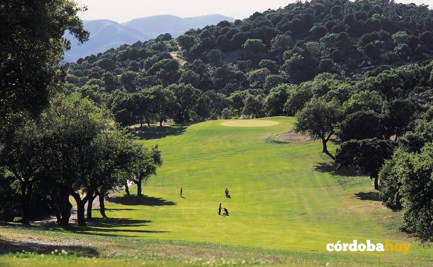 césped de golf