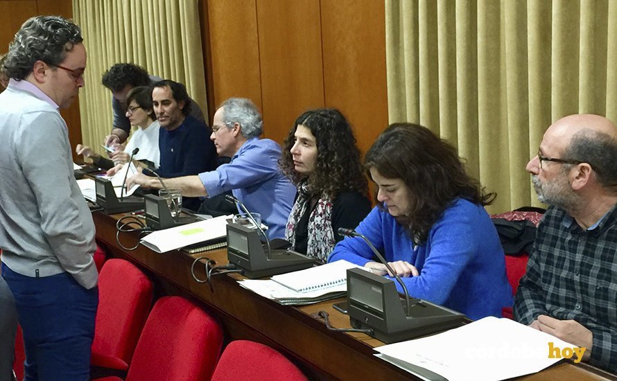 Pleno del Ayuntamiento
