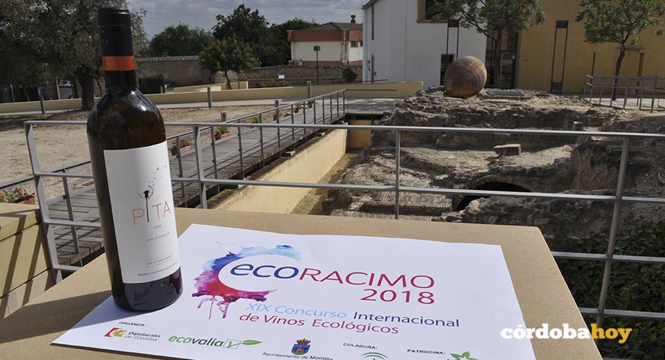 Ganador Ecovalia